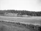 Lillsjön, Almunge socken, Uppland juni 1924