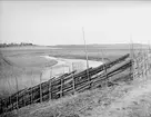 Sävaån vid Årke, Gryta socken, Uppland april 1933