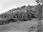 Vittnäsberget, Arnöberg, Kungs-Husby socken, Uppland 1931