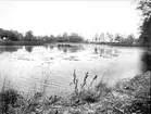 Stordammen i Österbybruk, Films socken, Uppland augusti 1933