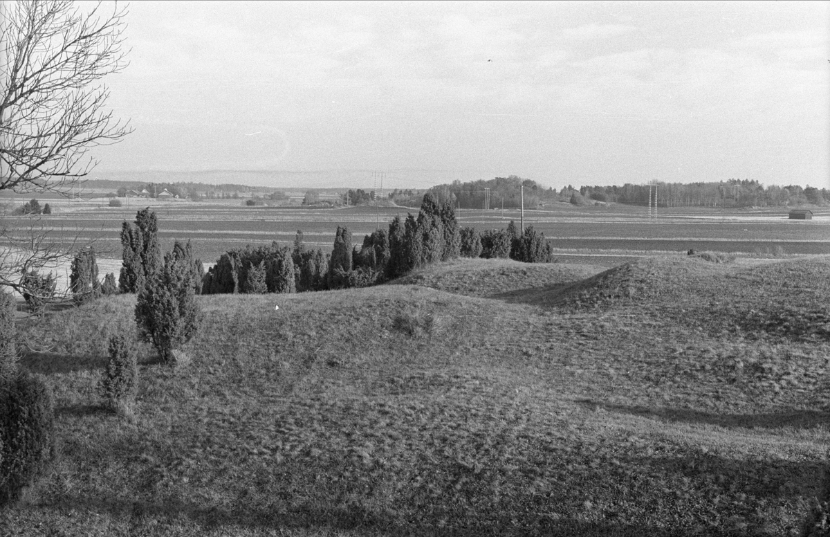 Valsgärde gravfält, Vallsgärde, Gamla Uppsala 1978