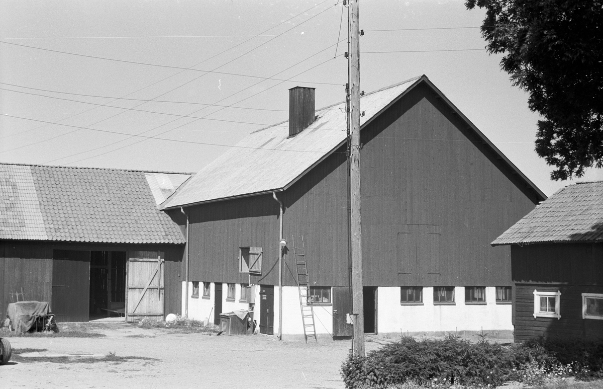 Mangårdsbyggnad