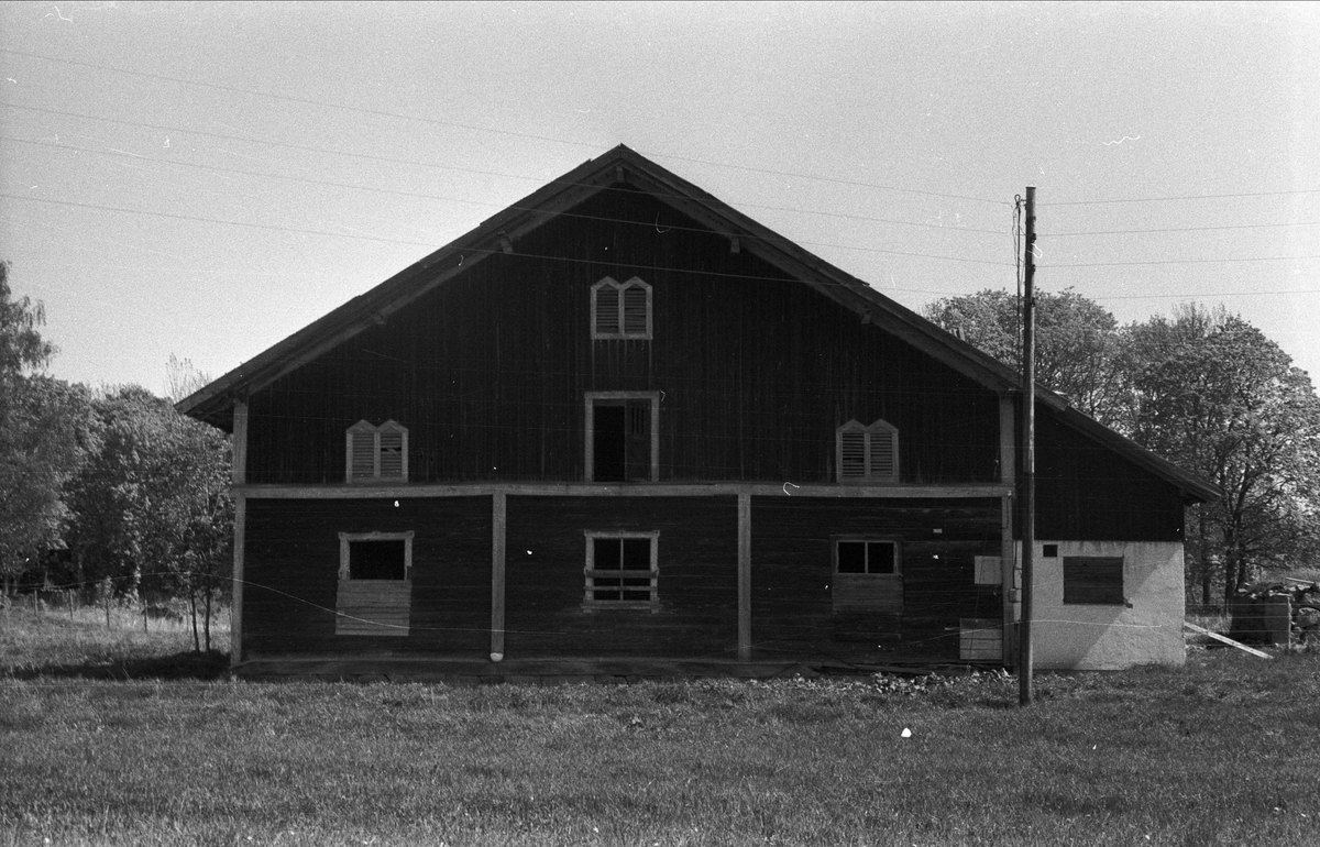 Oxhus