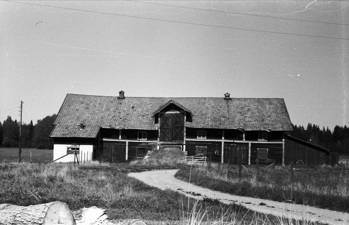 Oxhus