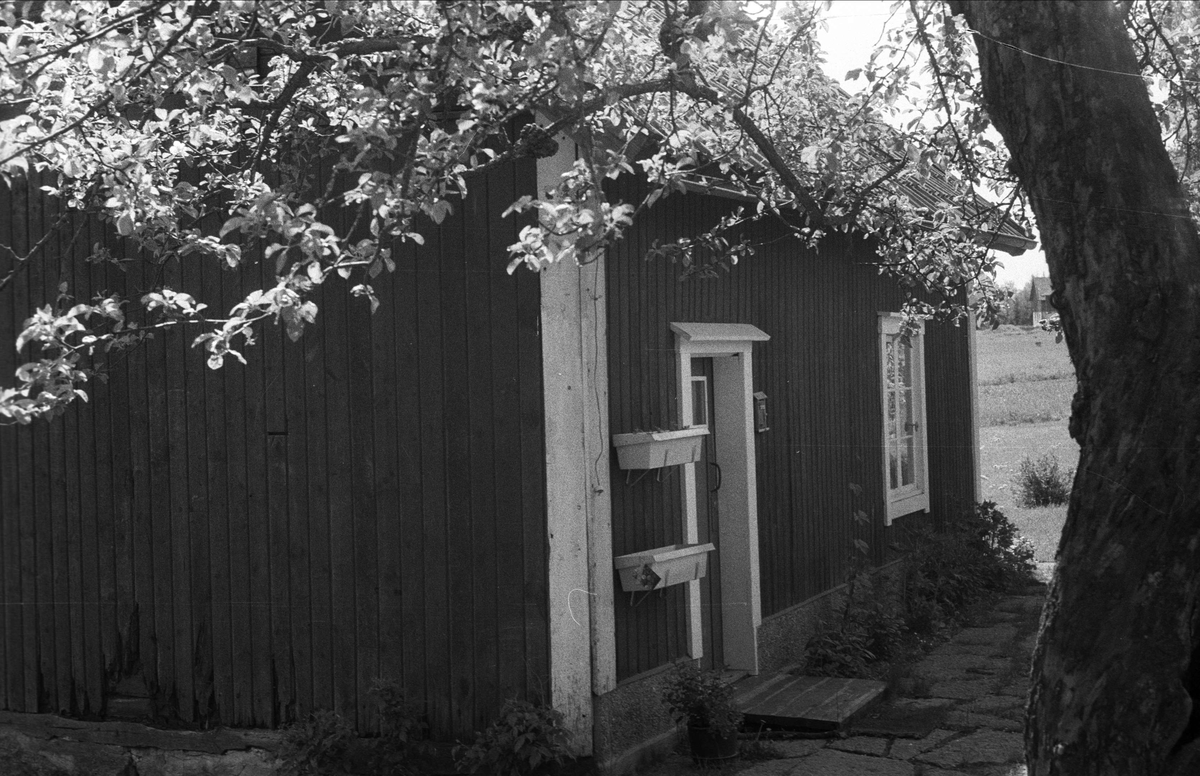 Enkelkammarstuga