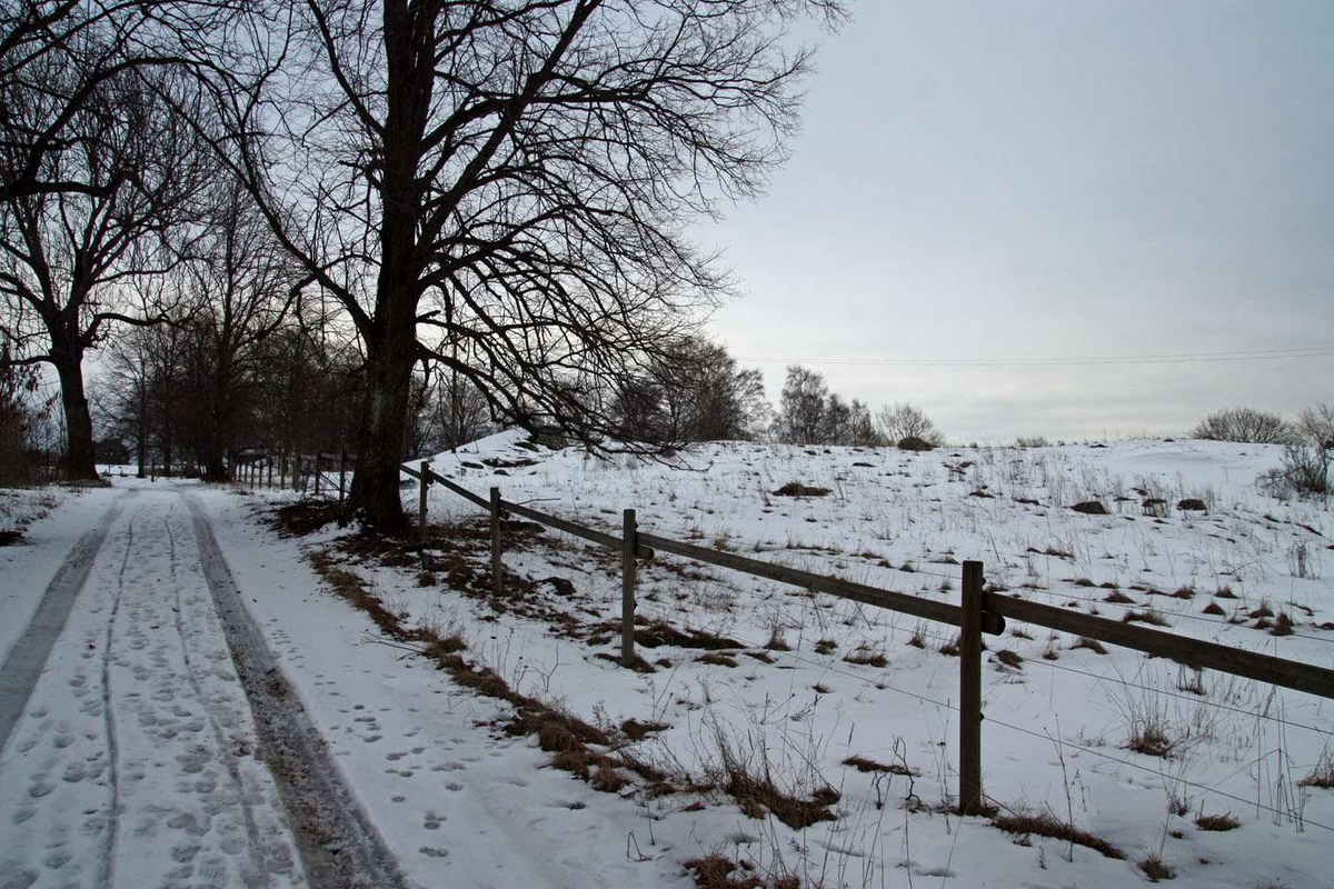 Lokaliseringsprövning 2009: Vid besiktning 2009 utgörs marken av en inhägnad beteshage. Bild 1: föreslagen lokalisering till höger i bild. Bilden tagen åt öster upp mot Säby gård. Bild 2: intilliggande gravhög med rest sten. Bild 3:Föreslagen lokalisering. Bild tagen åt väster från Säby gård.