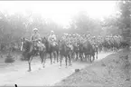 Återkomst från höstmanövern 1934. Förbimarsch för generalmajor E Testorp. Överstelöjtn. Henry Peyron förde regementet.