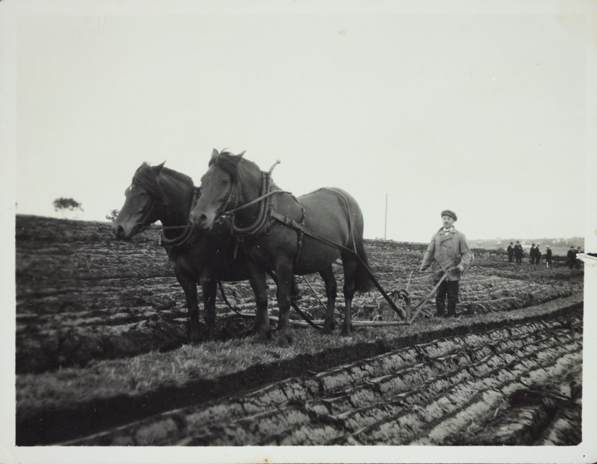 Tevling med hesteplog under en utstilling av Rogaland Landbruksselskap i Hillevåg 1926