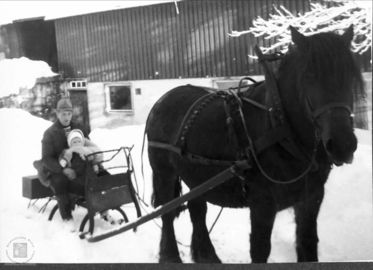 Ola og Tore Foss med hest og spisslede på Foss i Bjelland.
