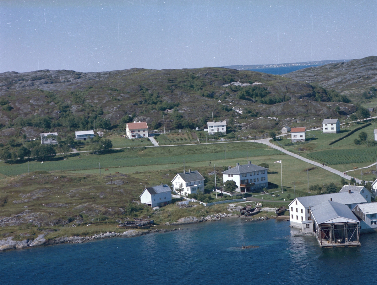 Ansnes