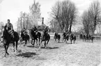 Ridkurs 12/10 1954-13/5 1955 Strömsholm.Remonterna tränas.Deltagare från Livregementets husarer, K3:Fänrik Westergren, överfurir Fridolfsson och sergeant Ewert Olausson.Förteckning över övriga deltagare finns i albumet.Chef för ridskolan:Överstelöjtnant Gustav Nyblaeus.Förteckning över övriga lärare finns i albumet.Albumet är en donation från Ewert Olausson.