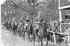 Ridkurs 12/10 1954-13/5 1955 Strömsholm.Från tävlingar maj 1955.Remontlöpet.Tredje man:Sergeant Ewert Olausson.Deltagare från Livregementets husarer, K3:Fänrik Westergren, överfurir Fridolfsson och sergeant Ewert Olausson.Förteckning över övriga deltagare finns i albumet.Chef för ridskolan:Överstelöjtnant Gustav Nyblaeus.Förteckning över övriga lärare finns i albumet.Albumet är en donation från Ewert Olausson.