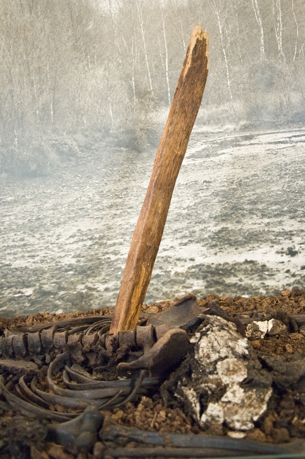 Påle av ek. Ekpålen var från början en del av en medeltida takkonstruktion, en takryttare eller ”ryggaträ”, som höll halmen på plats ovanpå taknocken.