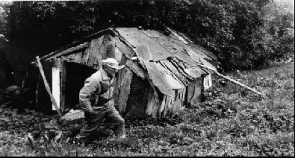 Sommerfjøs, portrett