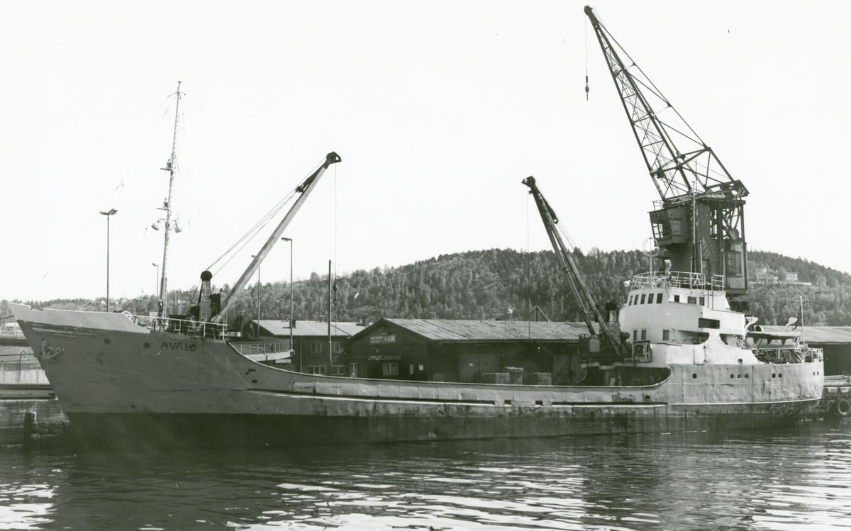 M/S Avald (Ex. Deang, Koserow)(b.1957, VEB Elbewerft Boizenburg, Boizenburg)