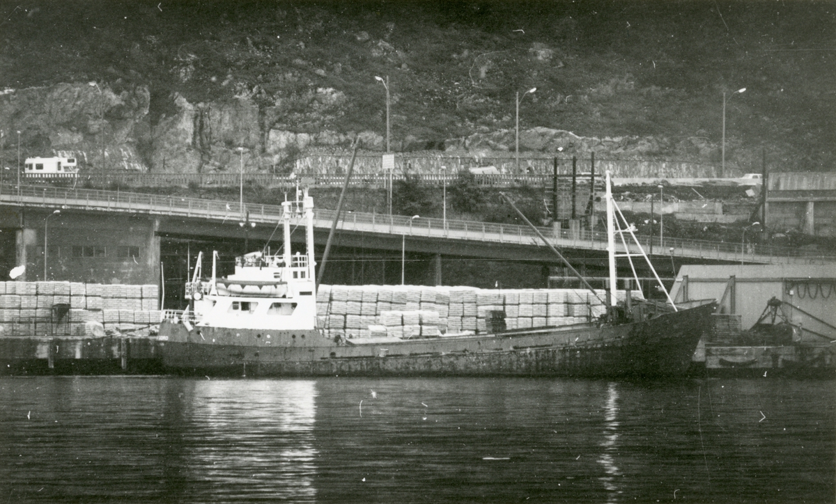 M/S Åsanfjord (Ex. Televik, Budal, Askheim)(b.1957, Grøtvaagens Verft, Kyrksæterøra)