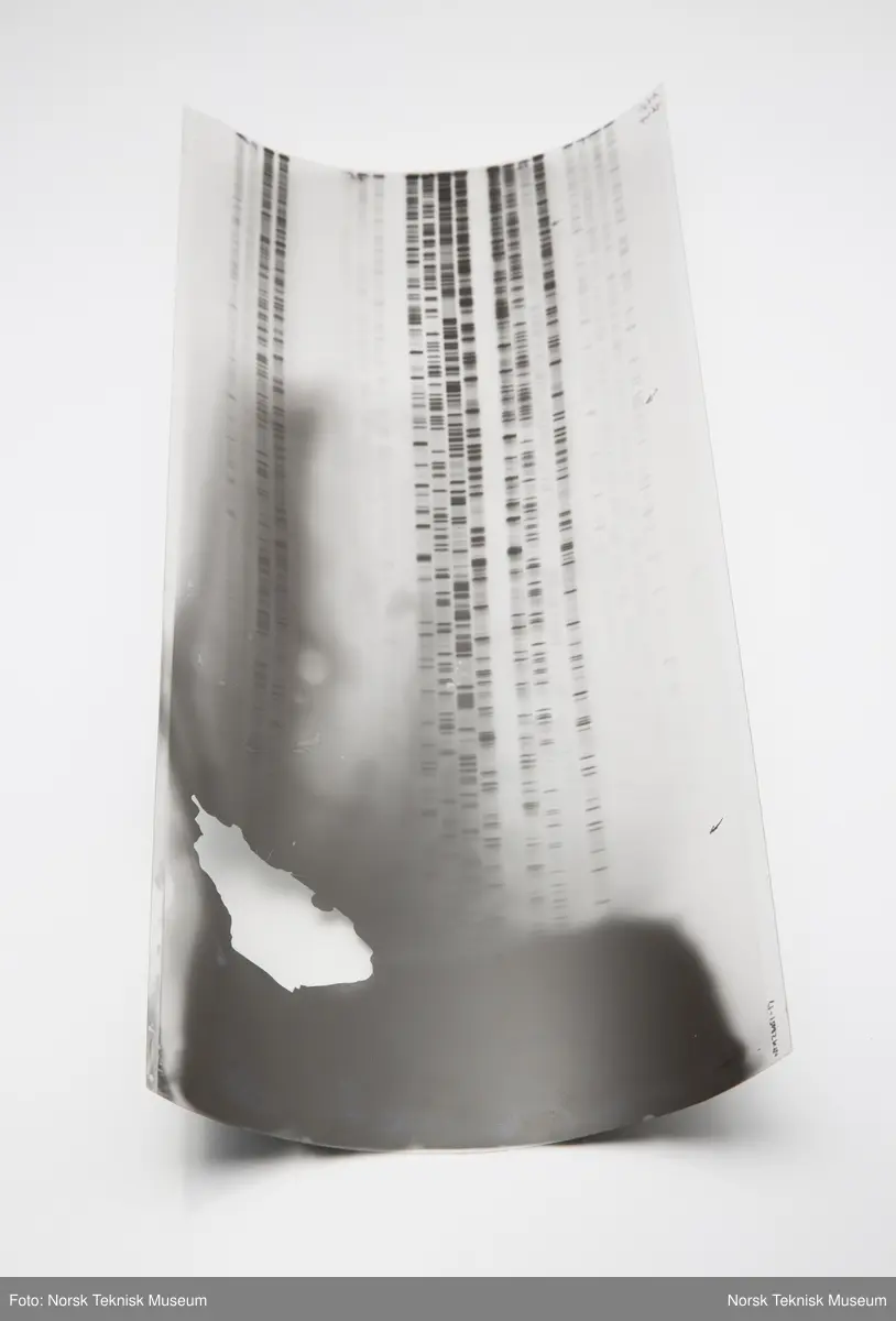 Tre avbildninger av DNA-sekvenser, trykket på gjennomsiktig plast