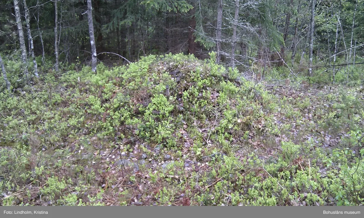 Här bodde Vilhelm Korsgård i början av 1900-talet i ett hus alldeles invid svensk-norska gränsen.

Her bodde Vilhelm Korsgård på begynnelsen av 1900-tallet i et hus like ved den svensk-norske grensen.