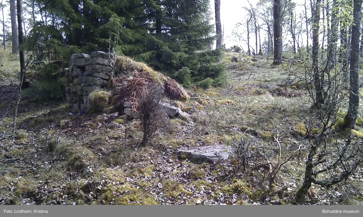 Här på Mon bodde på slutet av 1800-talet Augusta och Karl-Albin Rosengren och deras barn. På platsen finns grunderna efter en torpbyggnad med en inhägnad trädgård framför, ett ingrävt jordhus och en källare.  

Her på Mon bodde på slutten av 1800-tallet Augusta og Karl-Albin Rosengren med barna sine. På stedet finnes restene etter et torp med en inngjerdet hage foran, tomten etter et inngravd jordhus samt en kjeller.