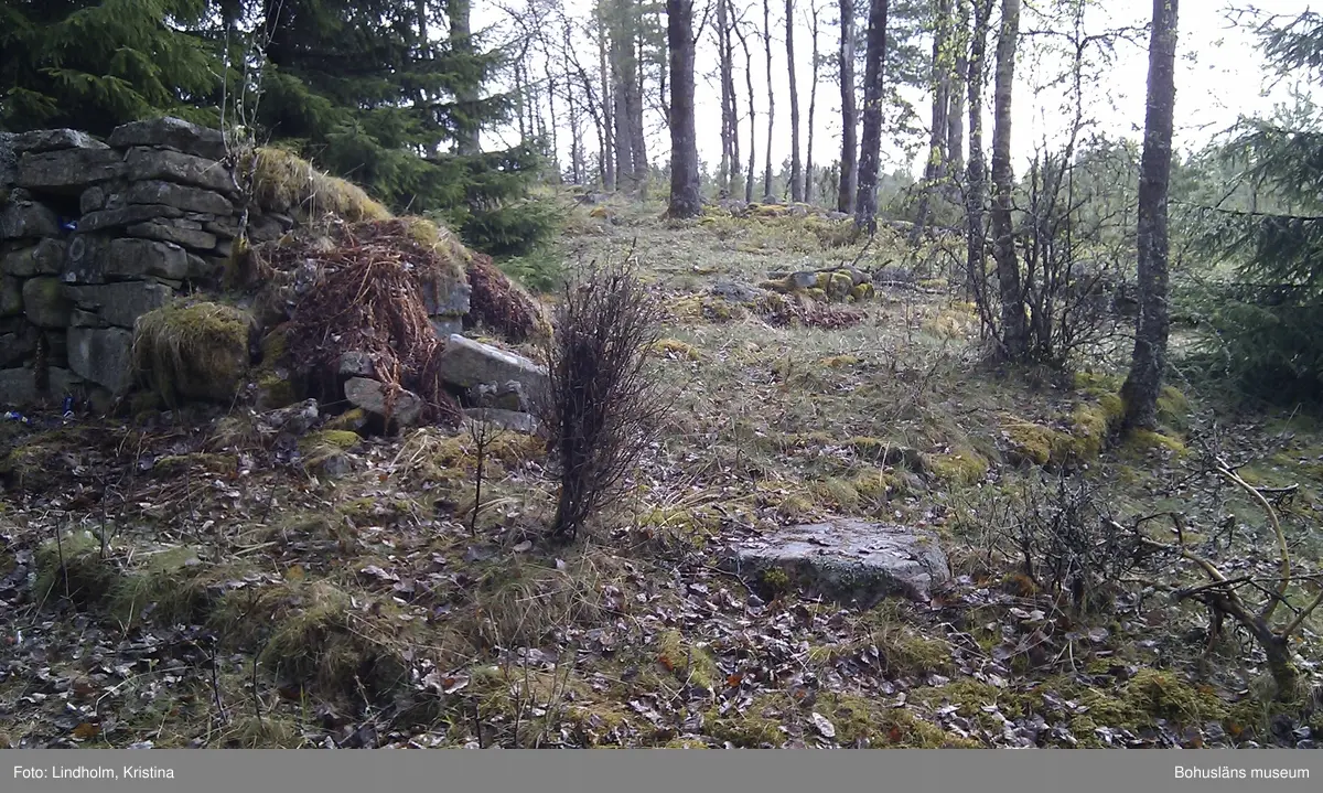 Här på Mon bodde på slutet av 1800-talet Augusta och Karl-Albin Rosengren och deras barn. På platsen finns grunderna efter en torpbyggnad med en inhägnad trädgård framför, ett ingrävt jordhus och en källare.  

Her på Mon bodde på slutten av 1800-tallet Augusta og Karl-Albin Rosengren med barna sine. På stedet finnes restene etter et torp med en inngjerdet hage foran, tomten etter et inngravd jordhus samt en kjeller.