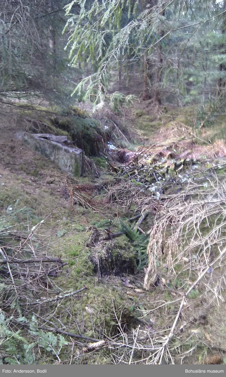 Här på Mon bodde på slutet av 1800-talet Augusta och Karl-Albin Rosengren och deras barn. På platsen finns grunderna efter en torpbyggnad med en inhägnad trädgård framför, ett ingrävt jordhus och en källare.  

Her på Mon bodde på slutten av 1800-tallet Augusta og Karl-Albin Rosengren med barna sine. På stedet finnes restene etter et torp med en inngjerdet hage foran, tomten etter et inngravd jordhus samt en kjeller.