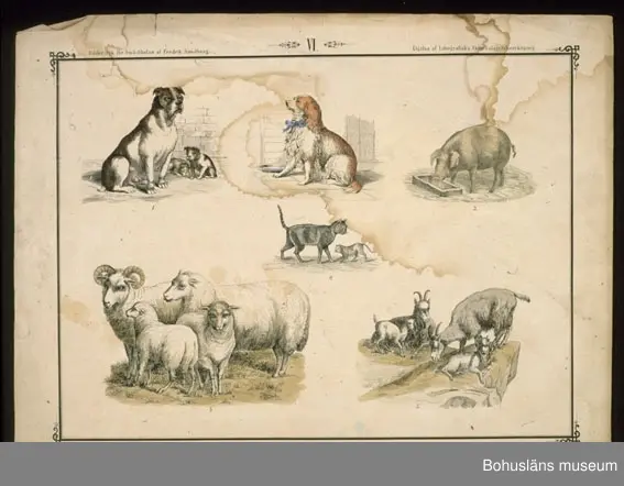 Ur handskrivna katalogen 1957-1958:
Ark för Små-Skolan
14 st. Gåva av Fredrik Sandberg.