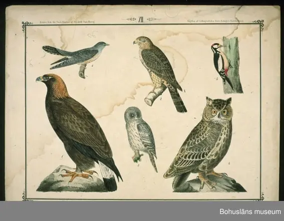 Ur handskrivna katalogen 1957-1958:
Ark för Små-Skolan
14 st. Gåva av Fredrik Sandberg.