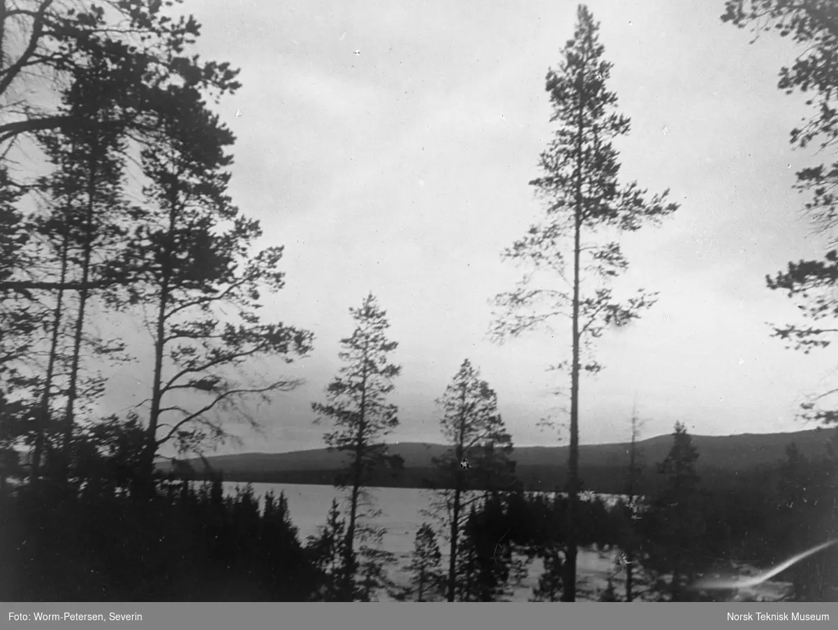 Naturlandskap, Østerdalen