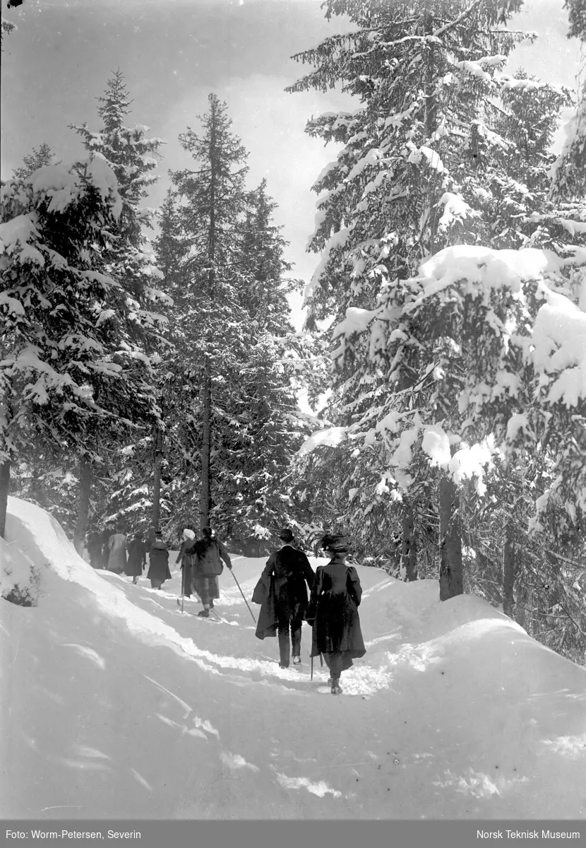 Vinterbilde, spasering og skigåing i skogen. 