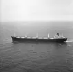 Fartyg nr. 273 B/C Kollgeir, bulklastfartyg.