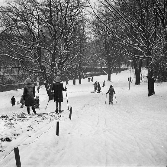 Enligt notering: "Vinterbilder U-a Jan 1950".