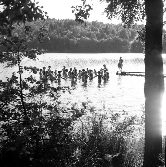 Enligt notering: "Stenebynäs juli 1955".