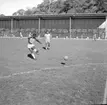 Brasiliens lag tränar på Rimnersvallen inför VM-match i fotboll 1958