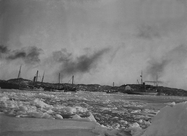 Bärgningsångaren FRITIOF assisterar fiskeflottan vid Marstrand 1924