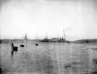 Örlogsbesöket i Marstrand.18-24 juli 1923. 4 st. Kopierade.