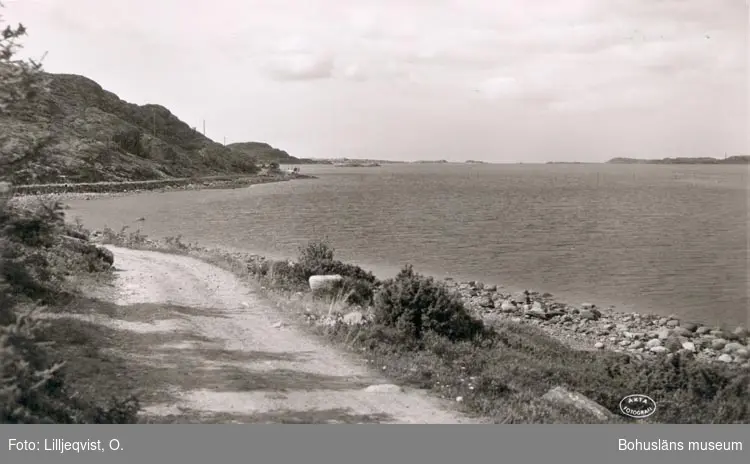 Tryckt text på kortet: "Lökeberg Strandpromenaden".
"Ensamrätt & Foto: O Lilljeqvists konstförlag. Dals Långed. G 304".
"Förlag: A. Elfström, Lökeberg"