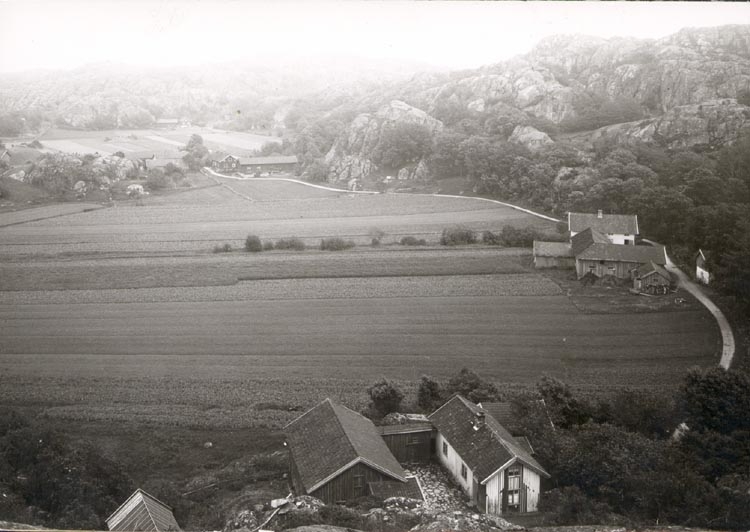 Noterat på kortet: "TORÖD KLÖVEDAL TJÖRN".
"FOTO (D17) DAN SAMUELSON 1924. KÖPT AV DENS. DEC.58".