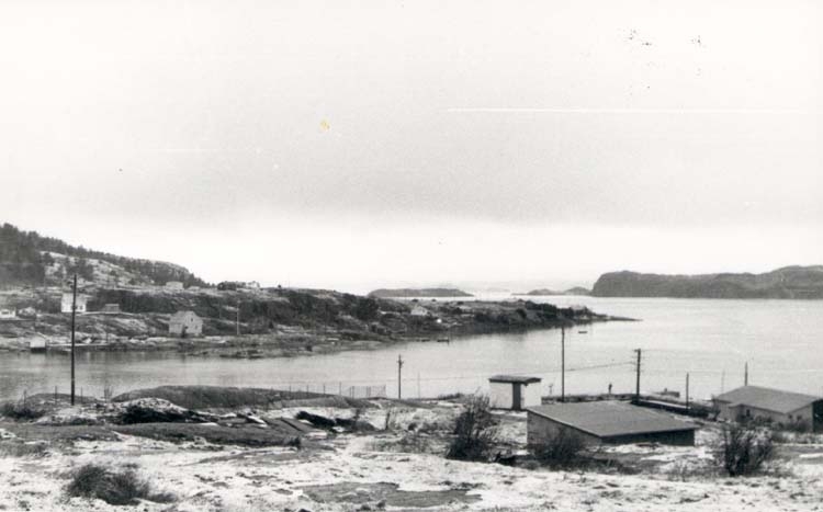 Noterat på kortet: "Rörtången. Kode. 4.1.59."