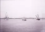 Vid H.M. Konungens Oscar II ankomst till Lysekil. Kungayachten Drott samt seglande Jullar och Kågar. Regatta?