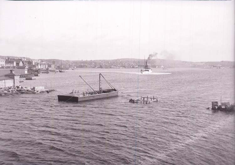 Enligt text som medföljde bilden: "Lysekil, Släggöbass. April, Maj, 10".