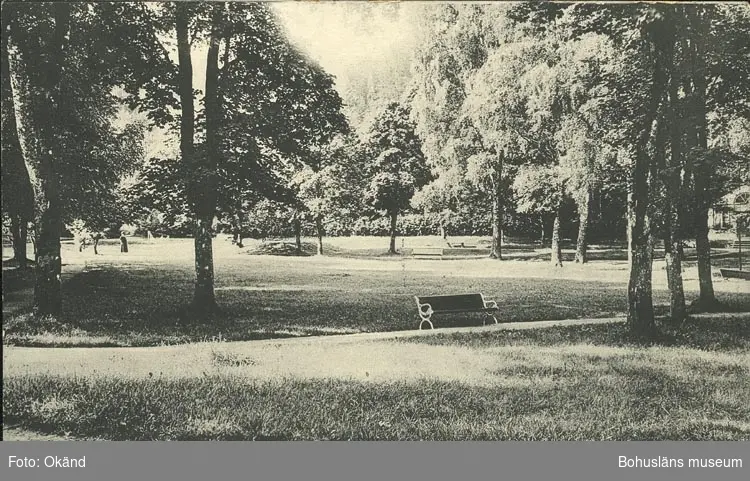 Tryckt text på vykortets framsida: "Uddevalla, Gustafsberg Parken."