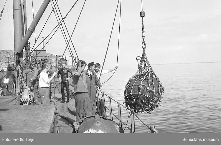 Upptagning av mina i vattnen utanför Lysekil