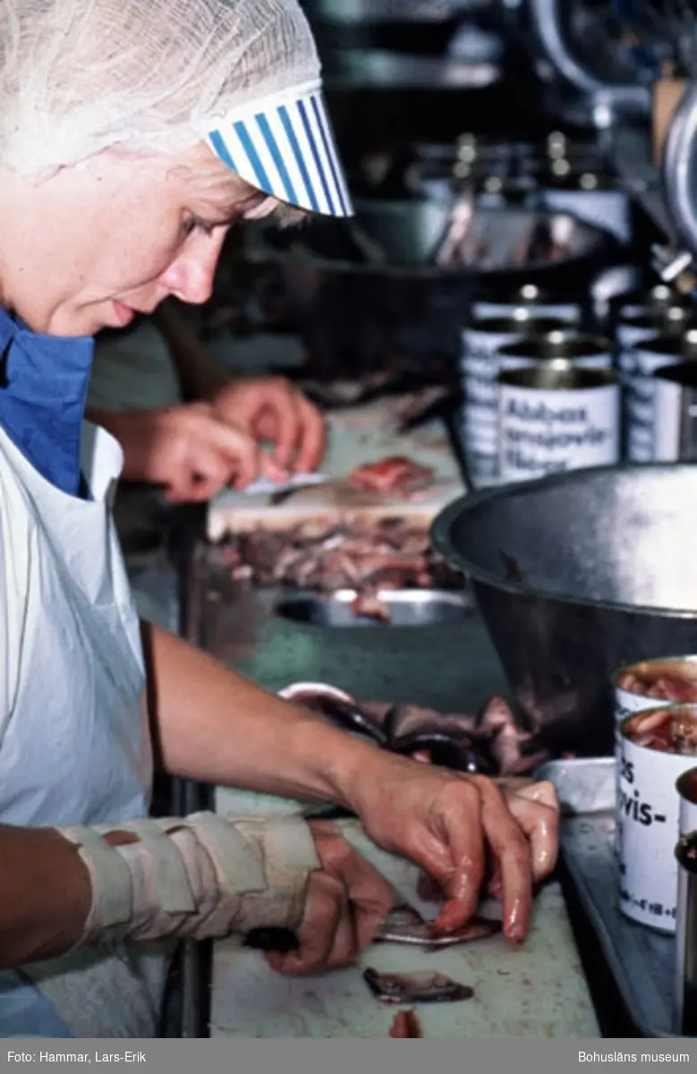 Fotografens noteringar: "Abba. Lysekil. Rensning. 20/10 1982."