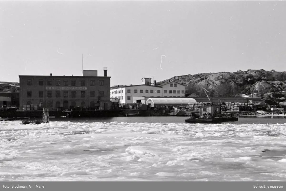 Noteringar som medföljde bilden: "AB Elis Luckeys konservfabrik, Lysekil. 1979.
 Foto: Ann-Marie Brockman. 1979."

Tidigare nr: UMFA54170: