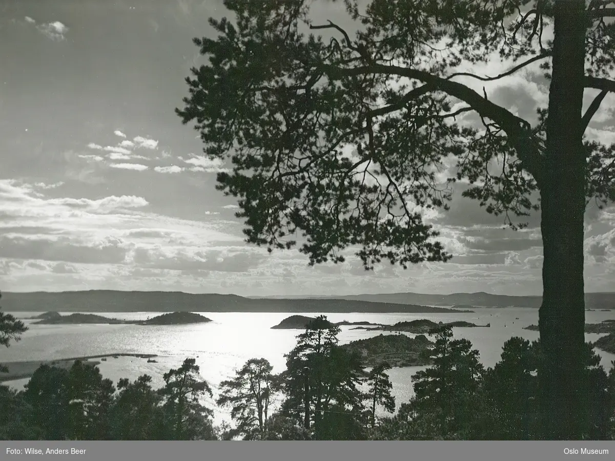 skog, utsikt, fjord, øyer