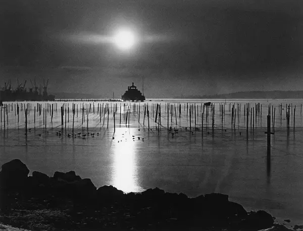 Frognerkilen islagt.