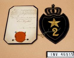 Truppslagstecken m/1906