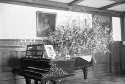 Arrangemang av främst vilda växter i midsommartid placerat p