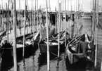 Skrivet på baksidan: Rostock ~1925
Stämplat på baksidan: Photo-Eschenburg WarnemOnde ? ? ?