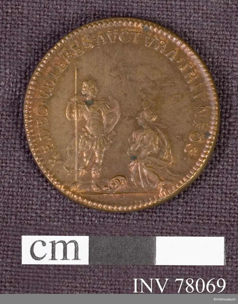 Grupp: M. 
Åtsidan: CAROL. XI. D.G. REX. SVE. Bröstbild åt höger i harnesk och mantelveck.
 
Frånsidan: REDO. VETERES. AVCTVRA. TRIVMFOS. (Egendomligt nog står det TRIVMFOS. inte TRIVMPHOS). En kvinna (Skåne), i antik dräkt, knäböjer med talande åtbörd framför konungen, som står klädd i antik rustning och mantel, spjut, svärd och sköld, huvudet bart. (Jämför den elest lika no 6675, där konungen bär lagerkrans, kompl. Peyron). På marken en sköld med Skånes vapen. På fästet en sky. Medaljen pärlkantad.